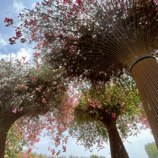 Décoration florale tendance pour un évènement